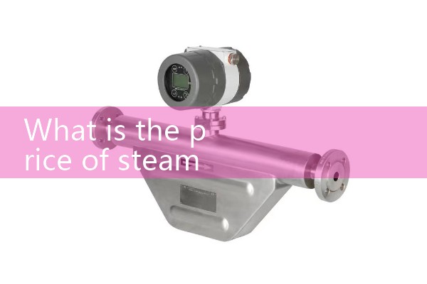 Remote transmission metal rotor flowmeter